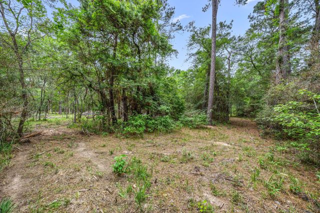 26020 Pine Shadows Drive, Hockley, TX 77447
