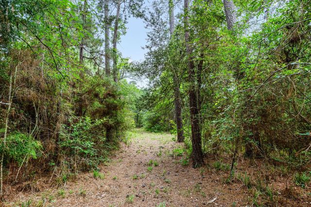 26020 Pine Shadows Drive, Hockley, TX 77447