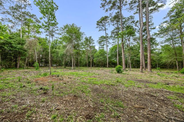26020 Pine Shadows Drive, Hockley, TX 77447