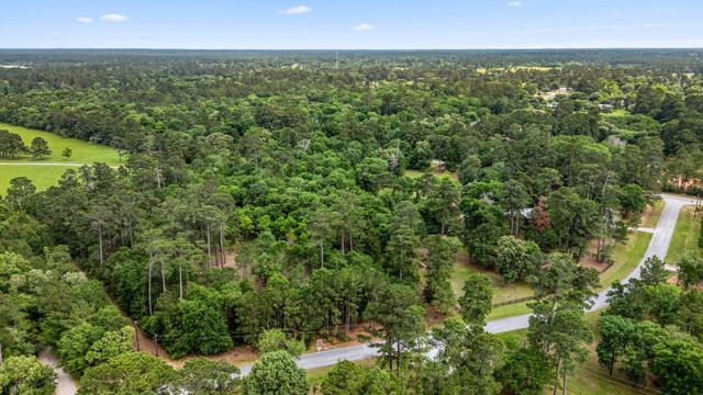 26020 Pine Shadows Drive, Hockley, TX 77447