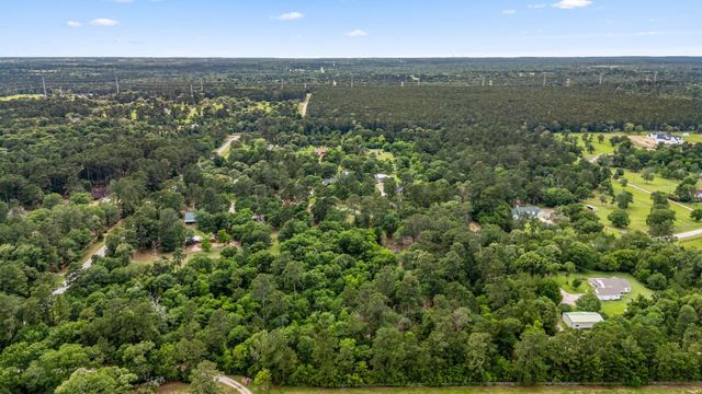 26020 Pine Shadows Drive, Hockley, TX 77447