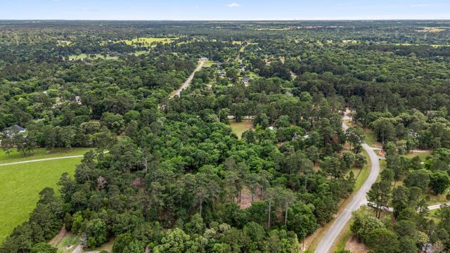 26020 Pine Shadows Drive, Hockley, TX 77447