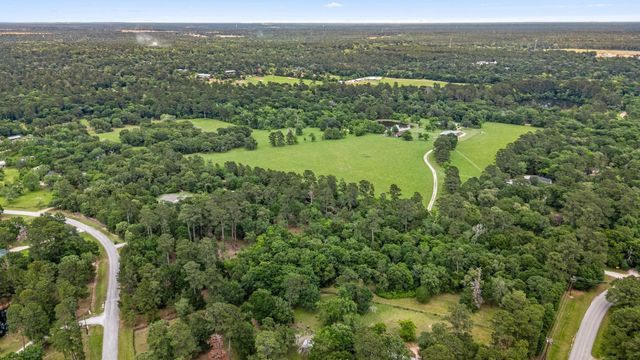 26020 Pine Shadows Drive, Hockley, TX 77447