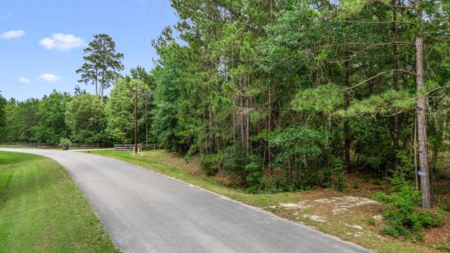 26020 Pine Shadows Drive, Hockley, TX 77447