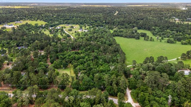 26020 Pine Shadows Drive, Hockley, TX 77447