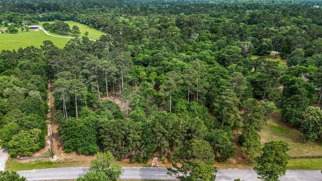 26020 Pine Shadows Drive, Hockley, TX 77447