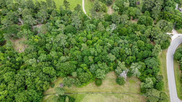 26020 Pine Shadows Drive, Hockley, TX 77447