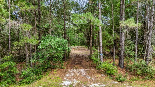26020 Pine Shadows Drive, Hockley, TX 77447