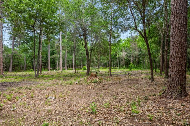 26020 Pine Shadows Drive, Hockley, TX 77447