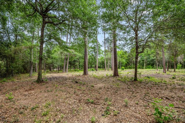 26020 Pine Shadows Drive, Hockley, TX 77447