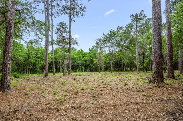 26020 Pine Shadows Drive, Hockley, TX 77447