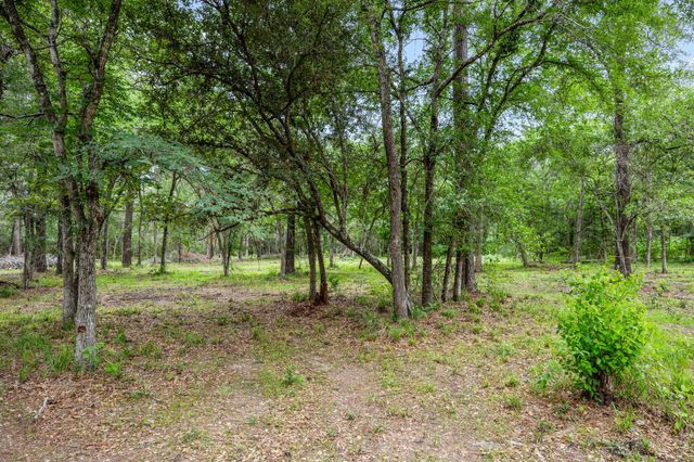 26020 Pine Shadows Drive, Hockley, TX 77447