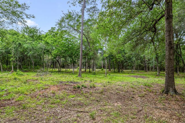 26020 Pine Shadows Drive, Hockley, TX 77447