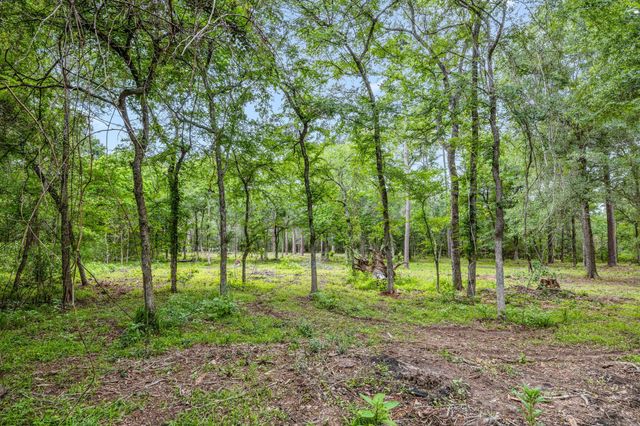 26020 Pine Shadows Drive, Hockley, TX 77447