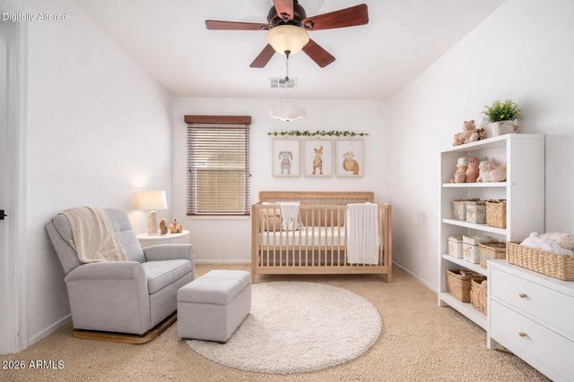 3766 N 292ND Lane, Buckeye, AZ 85396