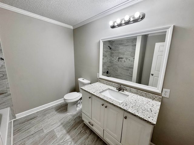 40 GUM CV GVL387, Saulsbury, TN 38067