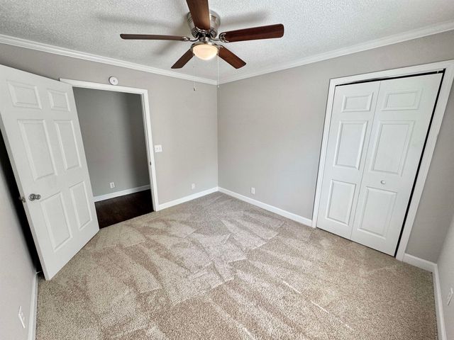 40 GUM CV GVL387, Saulsbury, TN 38067