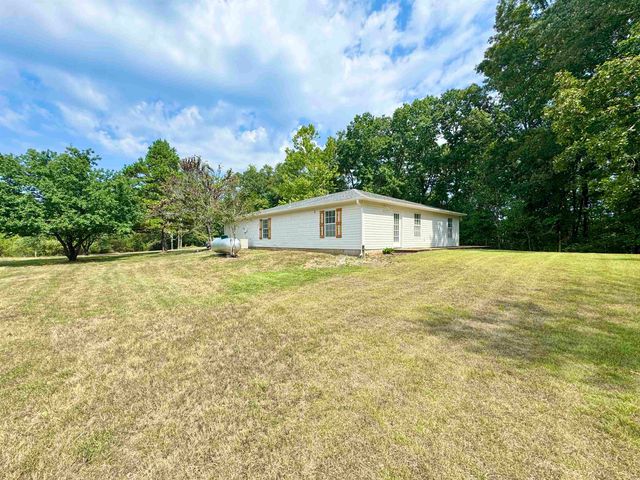 40 GUM CV GVL387, Saulsbury, TN 38067