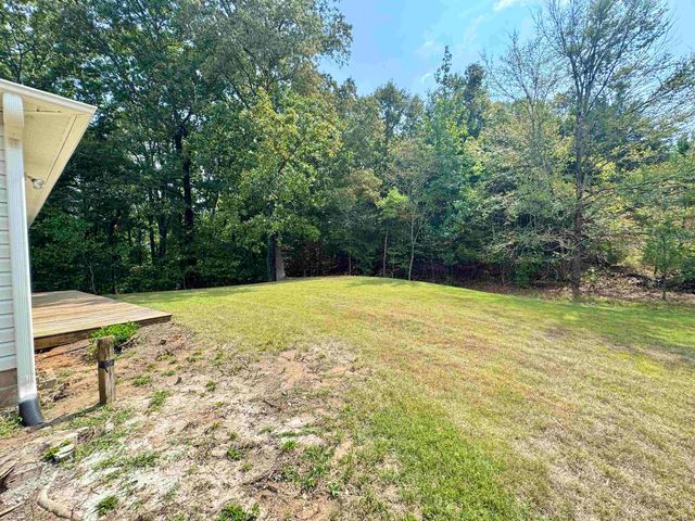 40 GUM CV GVL387, Saulsbury, TN 38067