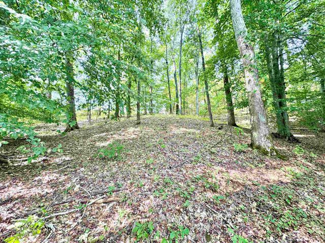 40 GUM CV GVL387, Saulsbury, TN 38067