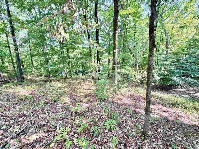 40 GUM CV GVL387, Saulsbury, TN 38067