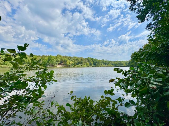 40 GUM CV GVL387, Saulsbury, TN 38067