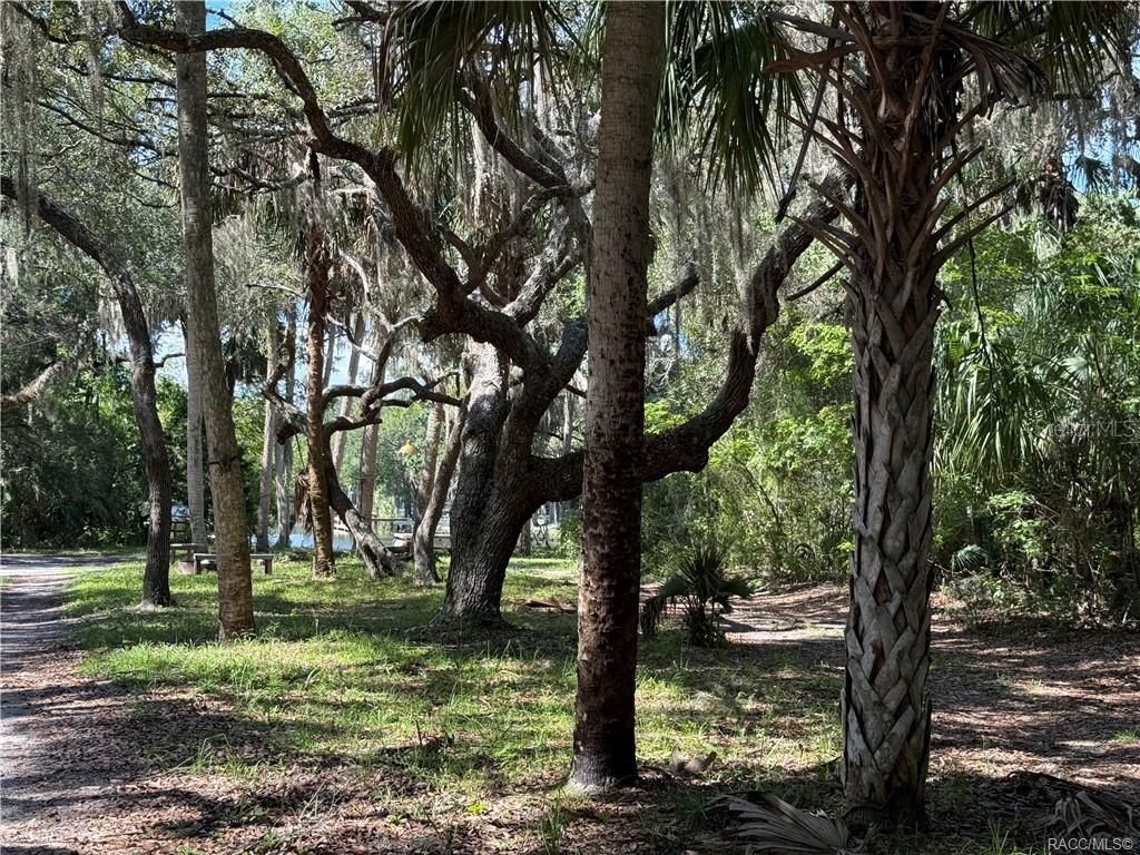 Image 10 of property listing at 11236 N RAIN POINT, Inglis, FL 34449