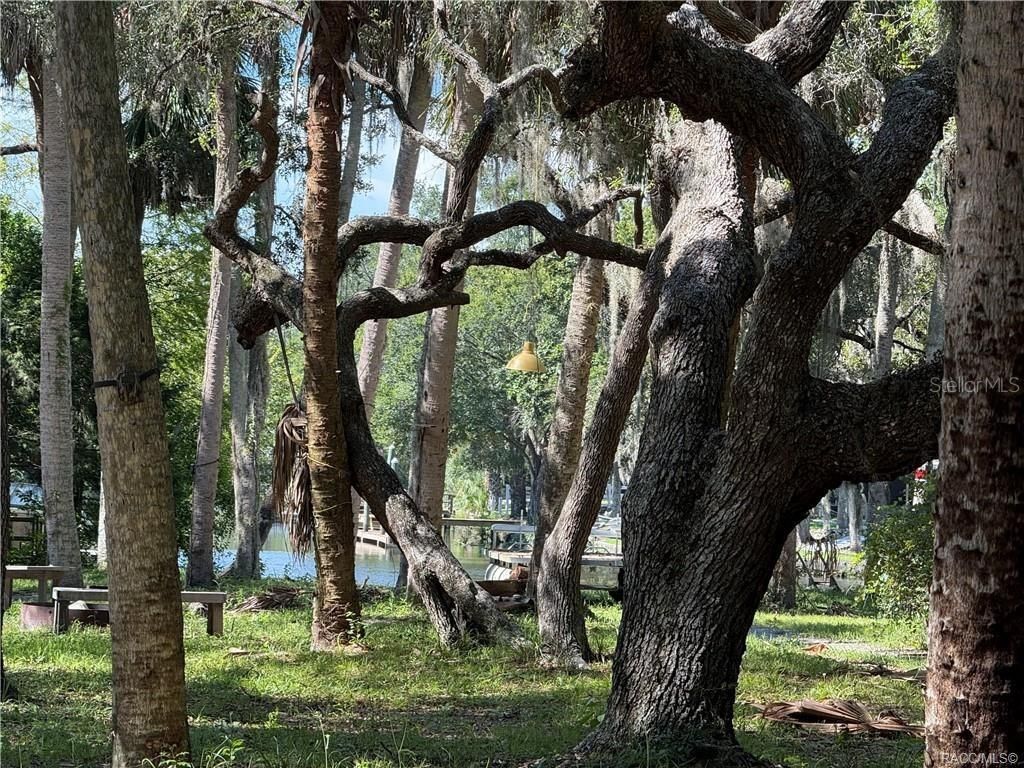 Image 11 of property listing at 11236 N RAIN POINT, Inglis, FL 34449