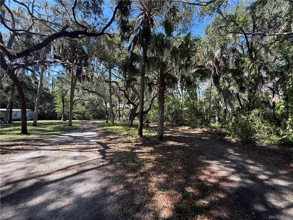 Image 8 of property listing at 11236 N RAIN POINT, Inglis, FL 34449