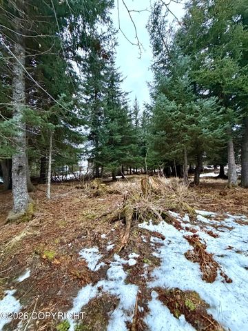 500 Paintbrush Court, Homer, AK 99603