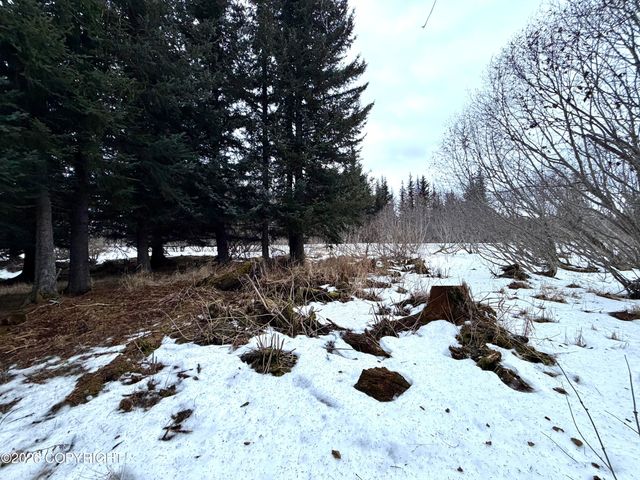 500 Paintbrush Court, Homer, AK 99603