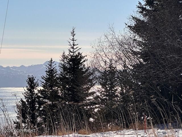 500 Paintbrush Court, Homer, AK 99603