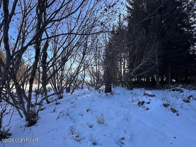 500 Paintbrush Court, Homer, AK 99603