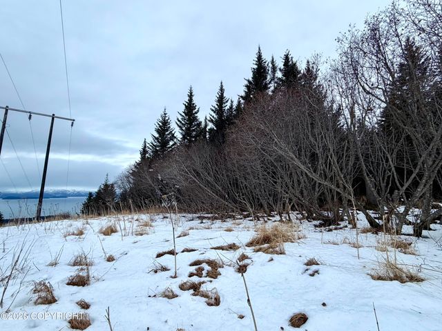 500 Paintbrush Court, Homer, AK 99603