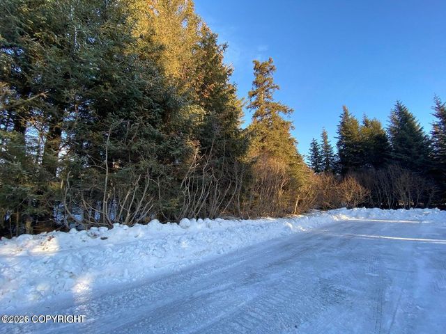 500 Paintbrush Court, Homer, AK 99603