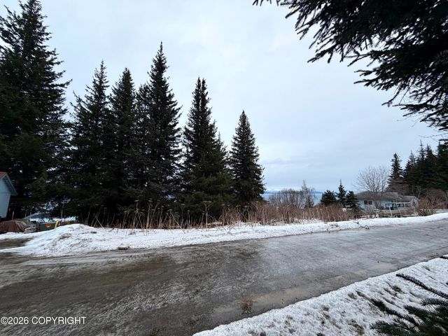 500 Paintbrush Court, Homer, AK 99603