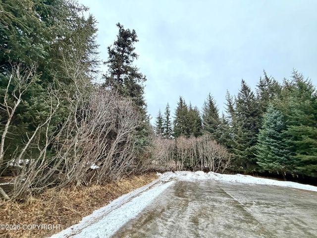 500 Paintbrush Court, Homer, AK 99603