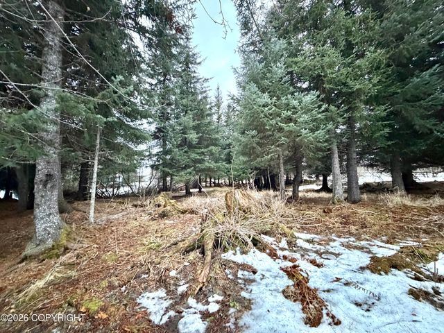 500 Paintbrush Court, Homer, AK 99603