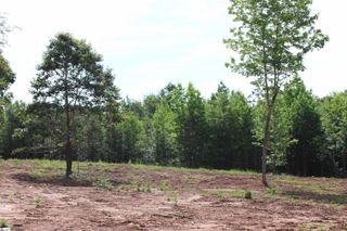 399 S Nelson Drive, Fountain Inn, SC 29644