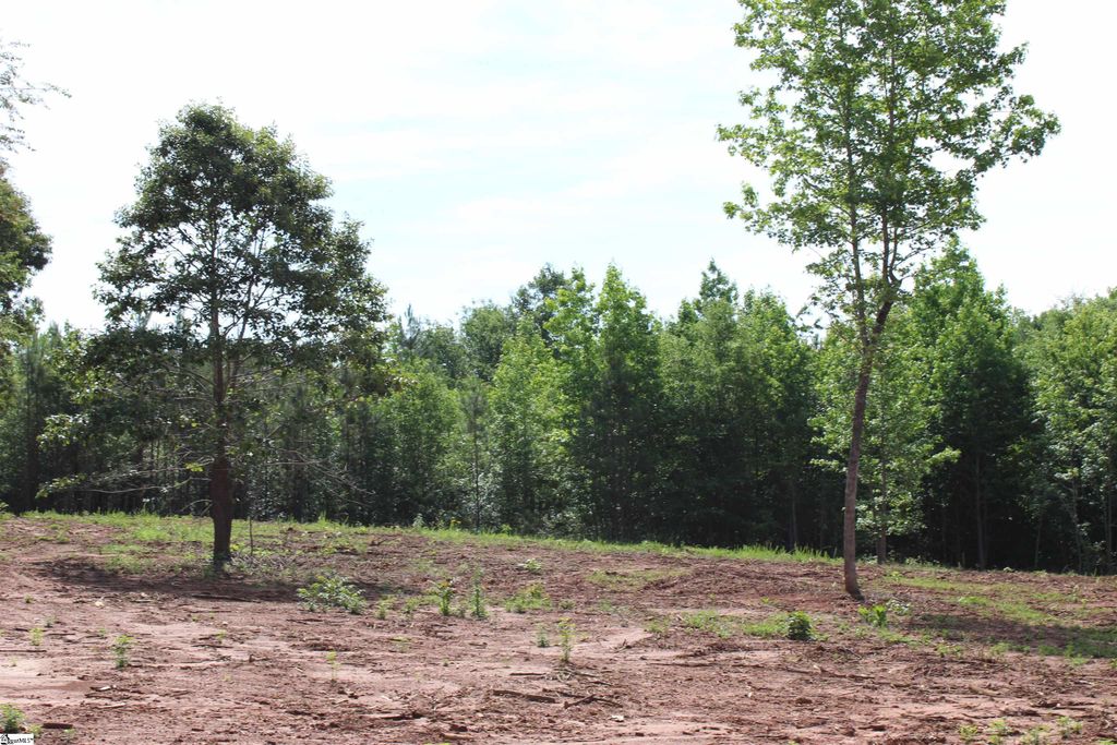 399 S Nelson Drive, Fountain Inn, SC 29644