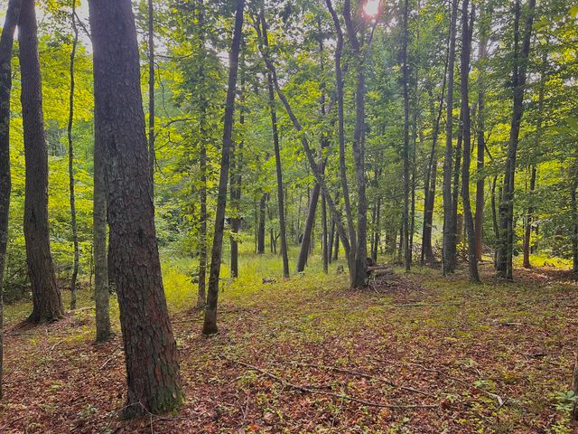 180 Greasy Creek Road, West Liberty, KY 41472