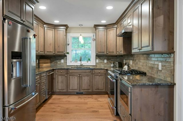 15 Hardman Ter, Denville Twp., NJ 07834