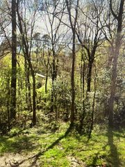 8 White Oak Drive, Point Blank, TX 77364