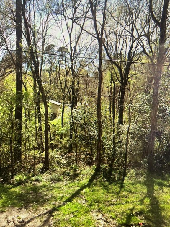 8 White Oak Drive, Point Blank, TX 77364