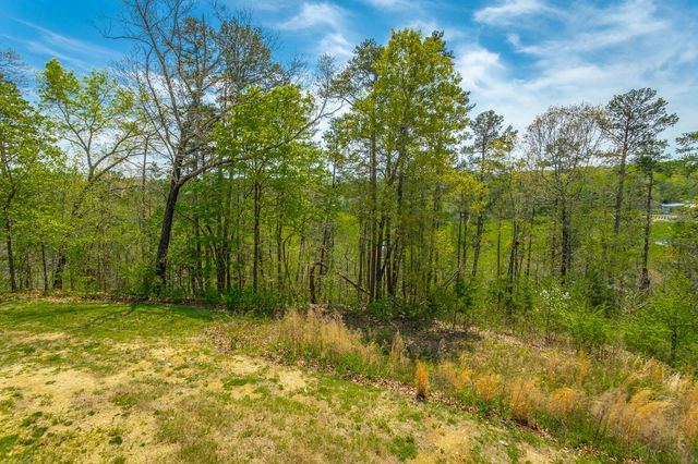 224 Heritage Place, Ringgold, GA 30736