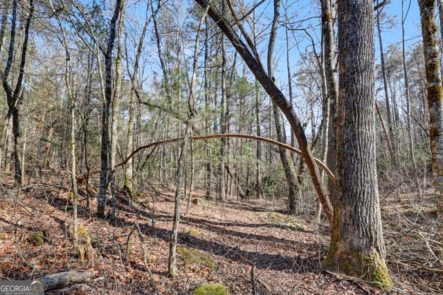 2761 Germany Road, Clayton, GA 30525