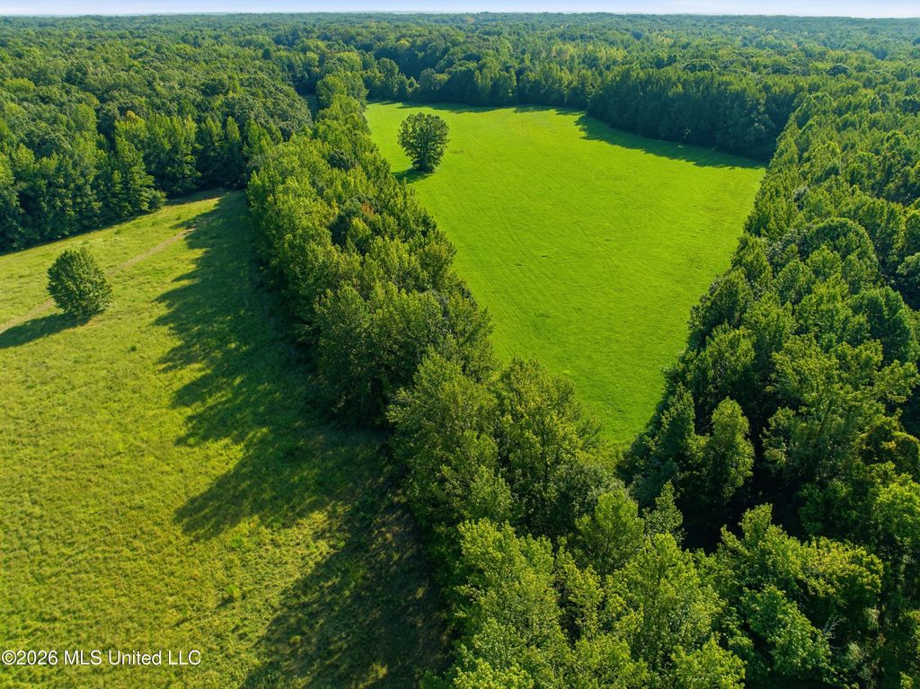 2208 Bend Road, Coldwater, MS 38618 — photo 2