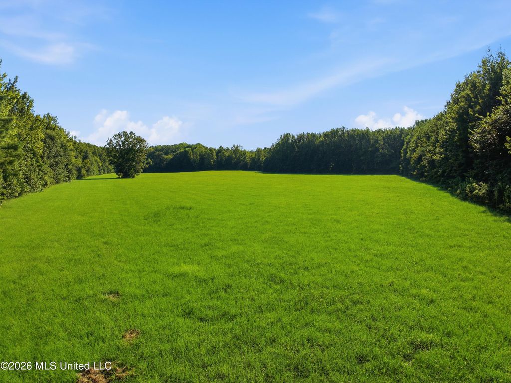 2208 Bend Road, Coldwater, MS 38618 — photo 3
