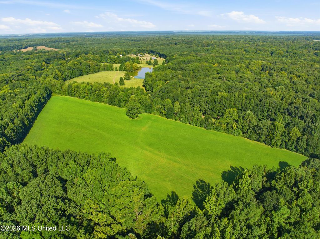 2208 Bend Road, Coldwater, MS 38618 — photo 4