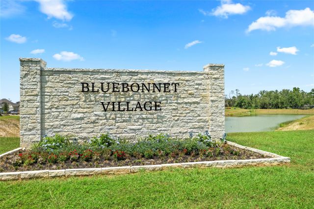 1204 Lilly Lane, Bellville, TX 77418